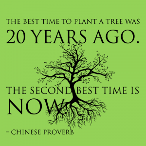 2015-12-21-tree-planing-20-years-ago-300x300.png